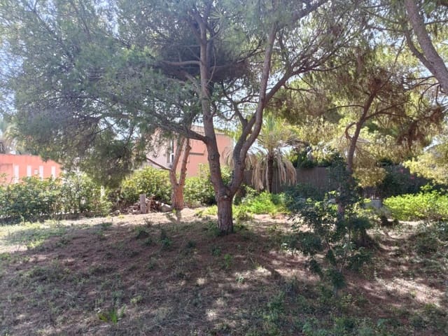 Undeveloped Land for sale in Cabo Roig, Orihuela - € 1,100,000 (Ref: 10063344)
