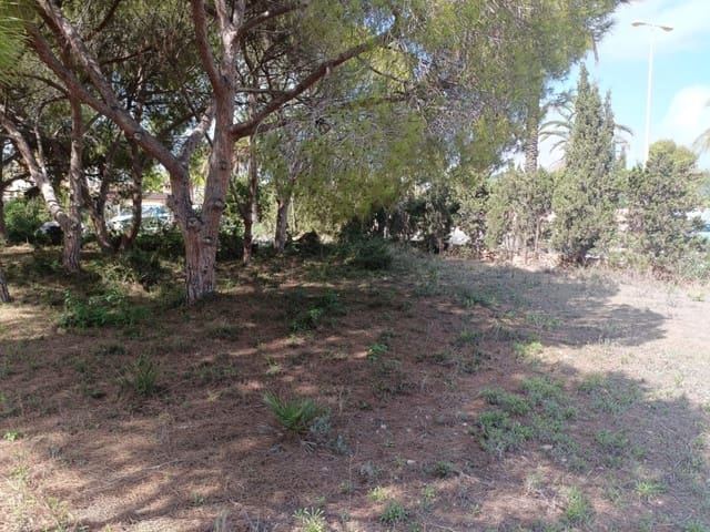 Undeveloped Land for sale in Cabo Roig, Orihuela - € 1,100,000 (Ref: 10063344)