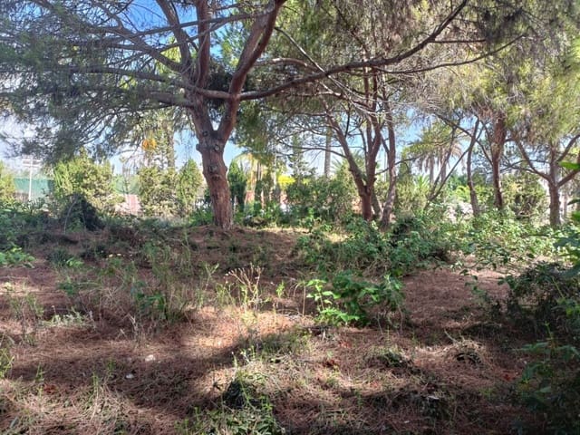 Undeveloped Land for sale in Cabo Roig, Orihuela - € 1,100,000 (Ref: 10063344)