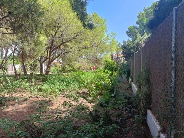 Undeveloped Land for sale in Cabo Roig, Orihuela - € 1,100,000 (Ref: 10063344)