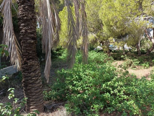 Undeveloped Land for sale in Cabo Roig, Orihuela - € 1,100,000 (Ref: 10063344)