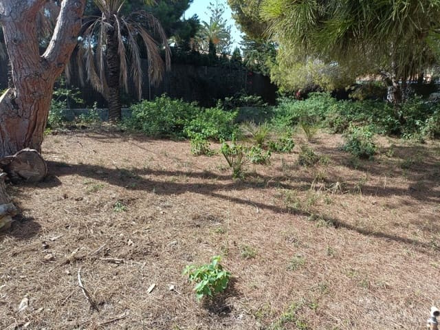Undeveloped Land for sale in Cabo Roig, Orihuela - € 1,100,000 (Ref: 10063344)