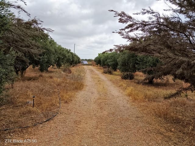 Finca/Casa Rural de 4 habitaciones en La Magdalena, Cartagena en venta - 305.000 € (Ref: 10063453)