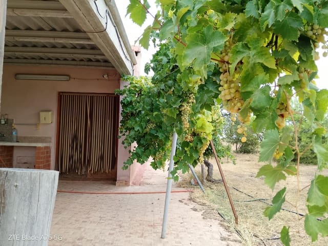 Finca/Casa Rural de 4 habitaciones en La Magdalena, Cartagena en venta - 305.000 € (Ref: 10063453)