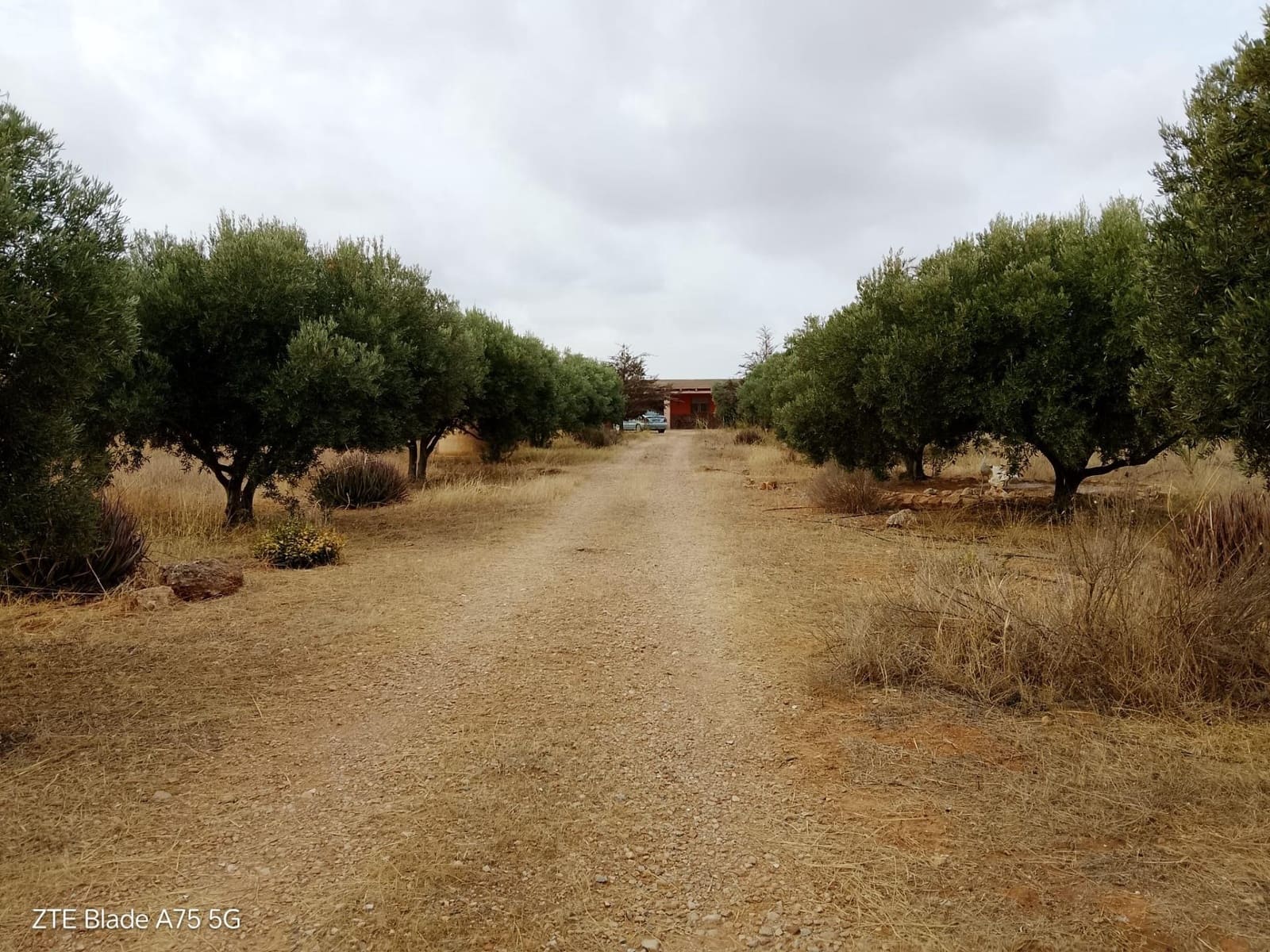Finca/Casa Rural de 4 habitaciones en La Magdalena en venta - 305.000 € (Ref: 10063453)