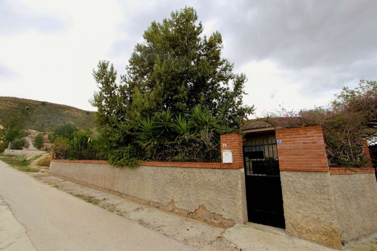 6 sypialnia Willa na sprzedaż w Canada de San Pedro z basenem - 260 000 € (Ref: 10066735)