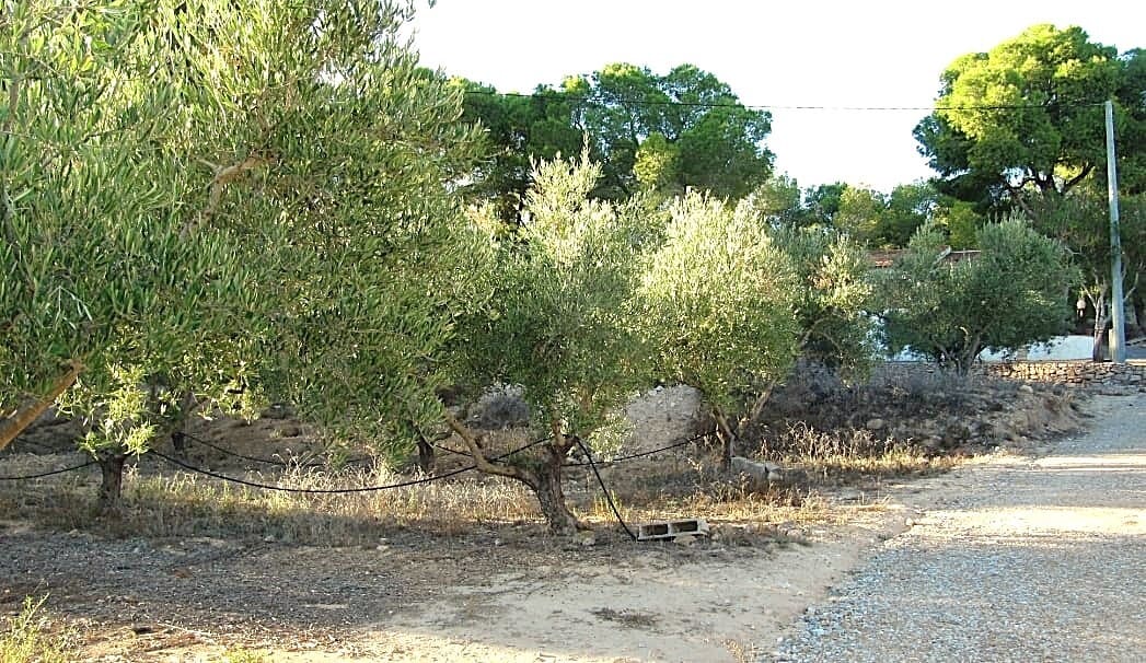 1 camera da letto Finca/Casa di Campagna in vendita in Gea y Truyols - 229.000 € (Rif: 10132973)