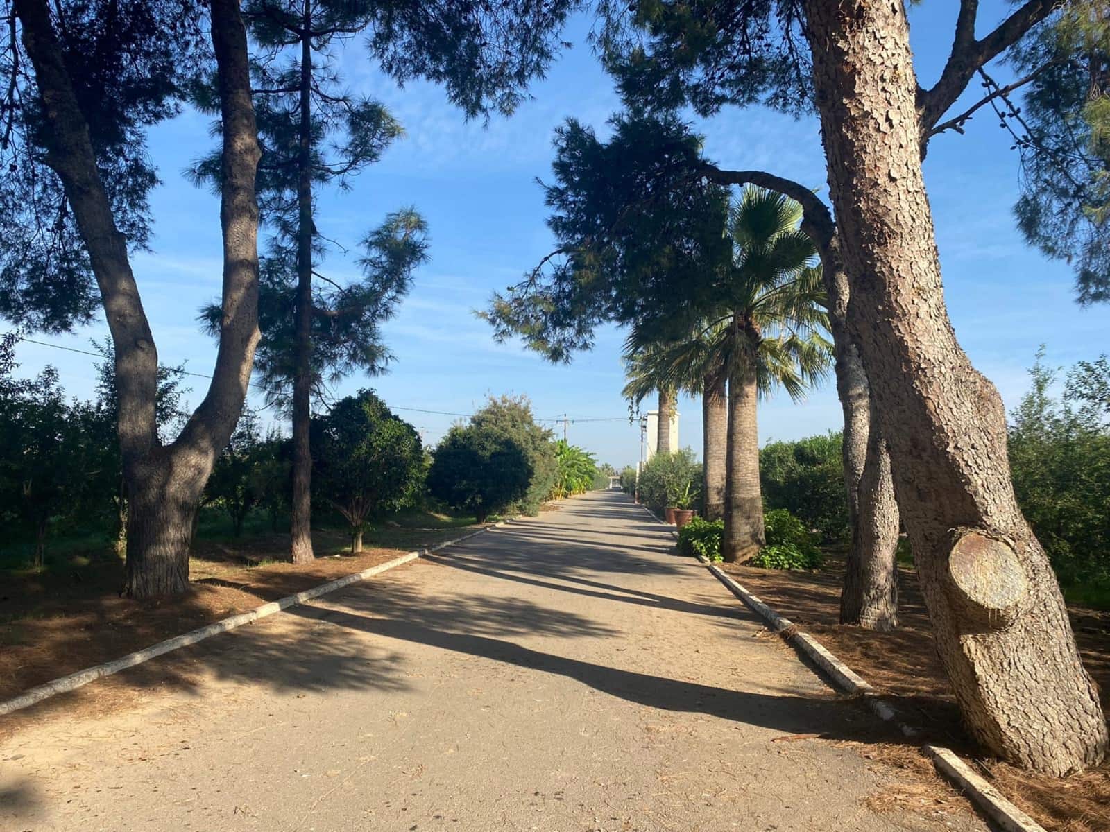 5 camera da letto Villa in vendita in Los Alcazares con piscina - 1.500.000 € (Rif: 7192262)