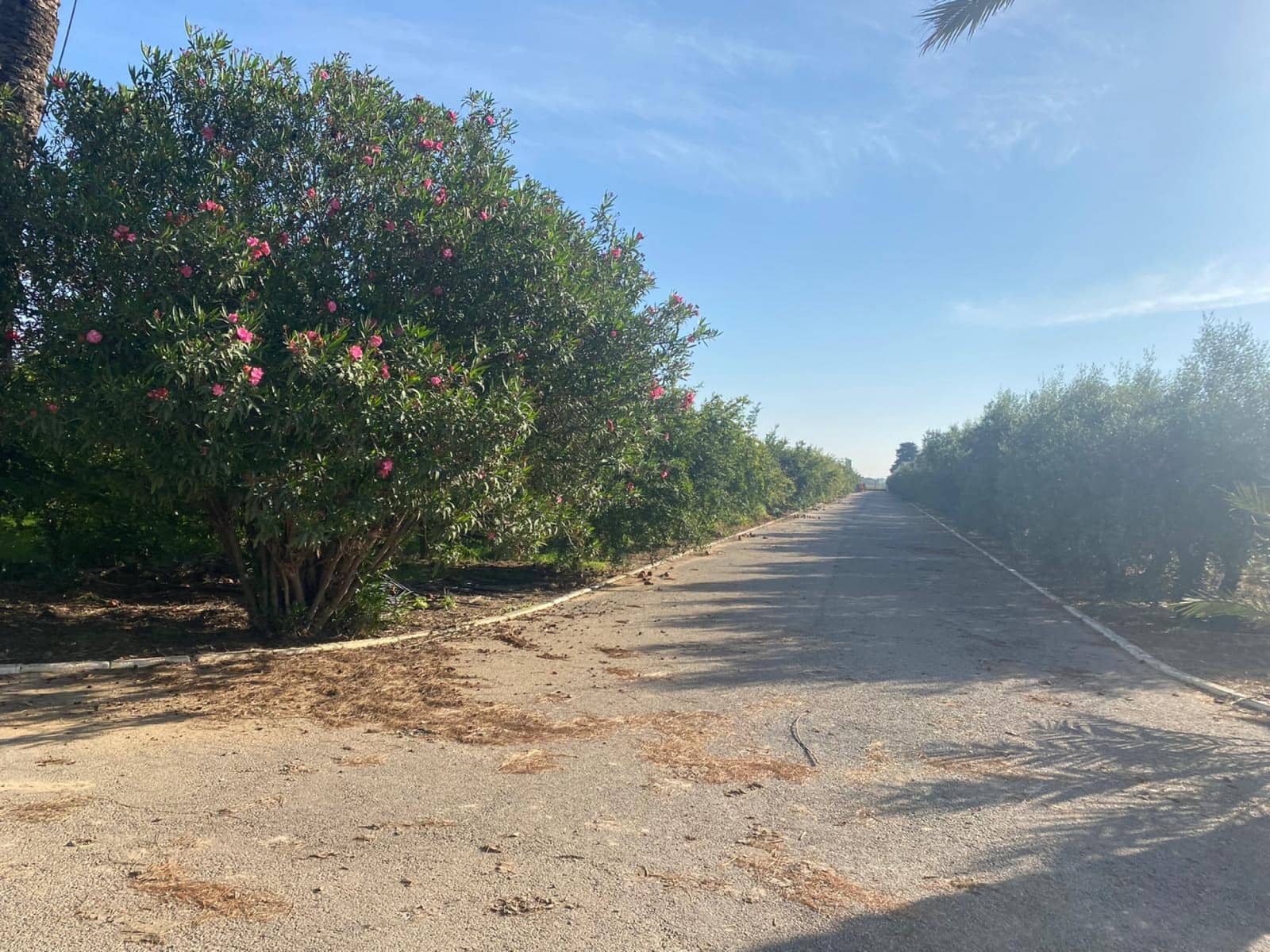 5 camera da letto Villa in vendita in Los Alcazares con piscina - 1.500.000 € (Rif: 7192262)