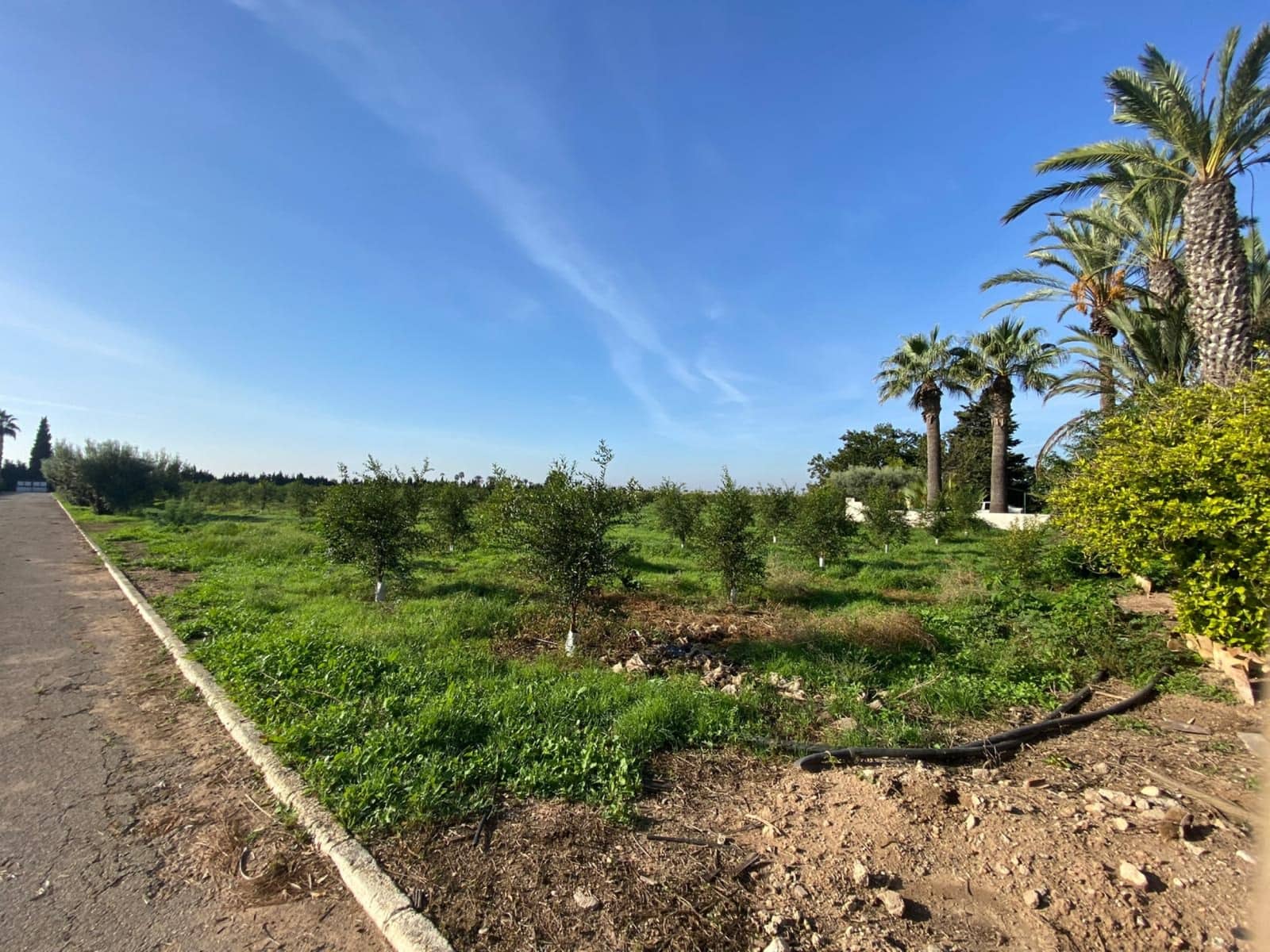 5 camera da letto Villa in vendita in Los Alcazares con piscina - 1.500.000 € (Rif: 7192262)