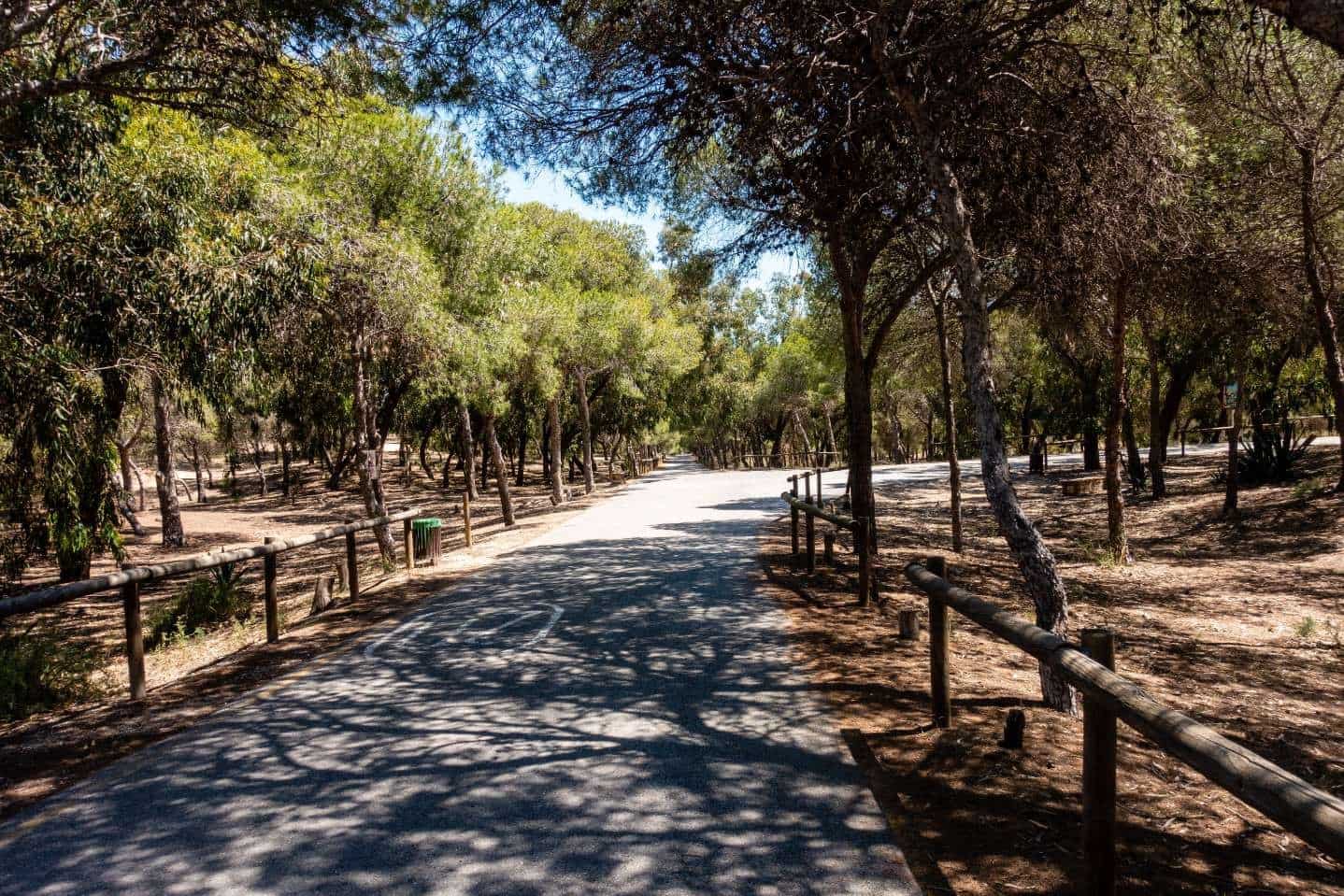 2 slaapkamer Appartement te koop in Guardamar del Segura - € 259.000 (Ref: 9418860)