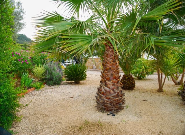 3 Zimmer Villa zu verkaufen in Pliego mit Pool Garage - 295.000 € (Ref: 9585264)