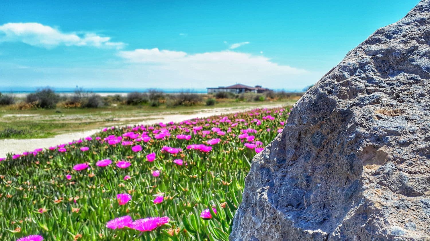 1 soveværelse Lejlighed til salg i Vera med swimmingpool garage - € 185.000 (Ref: 8417353)