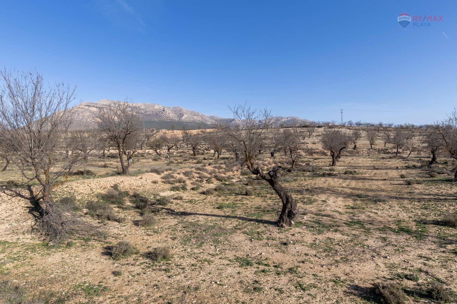 6 sypialnia Finka/Dom wiejski na sprzedaż w Chirivel z garażem - 99 900 € (Ref: 8682084)