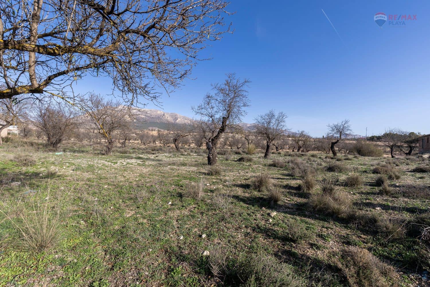 6 sypialnia Finka/Dom wiejski na sprzedaż w Chirivel z garażem - 99 900 € (Ref: 8682084)