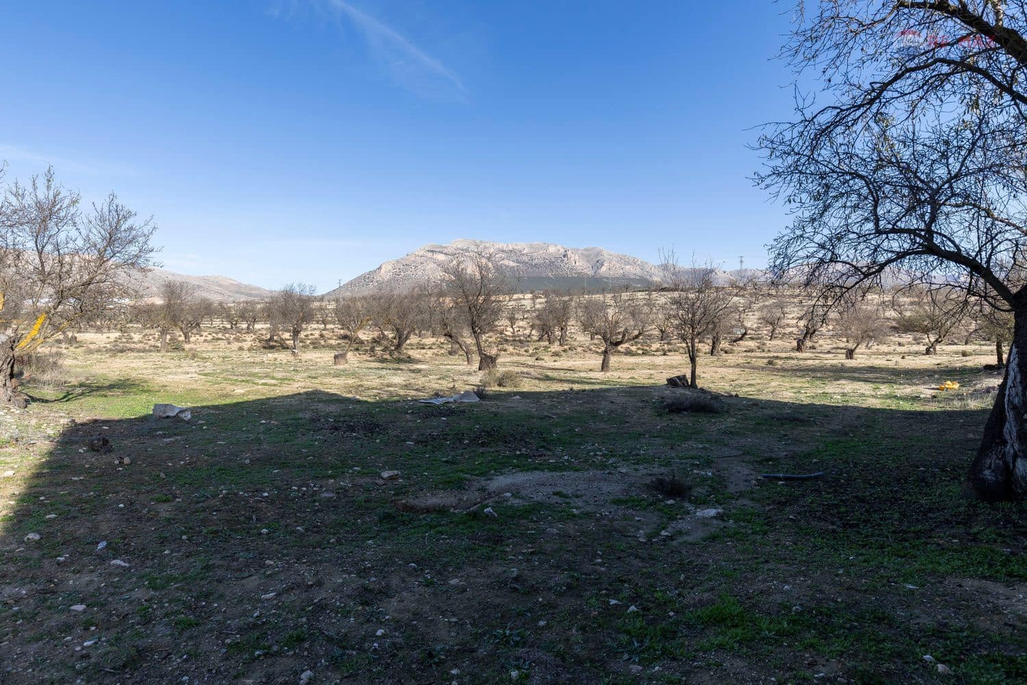 6 bedroom Finca/Country House for sale in Chirivel with garage - € 99,900 (Ref: 8682084)