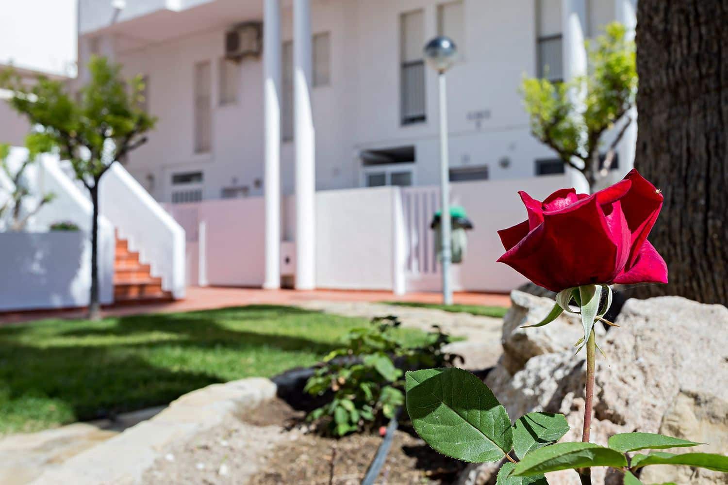 2 makuuhuone Huoneisto vuokrattavana paikassa Puerto del Rey mukana uima-altaan 
autotalli - 750 € (Ref: 8689113)