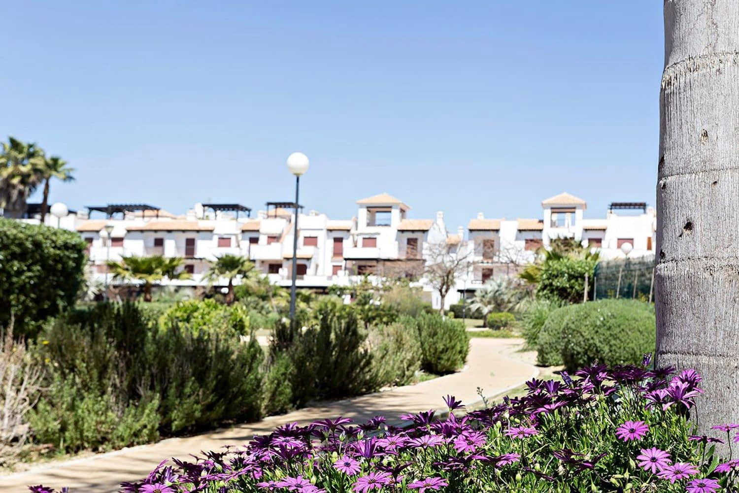 1 soveværelse Lejlighed til leje i Vera med swimmingpool garage - € 800 (Ref: 8707617)