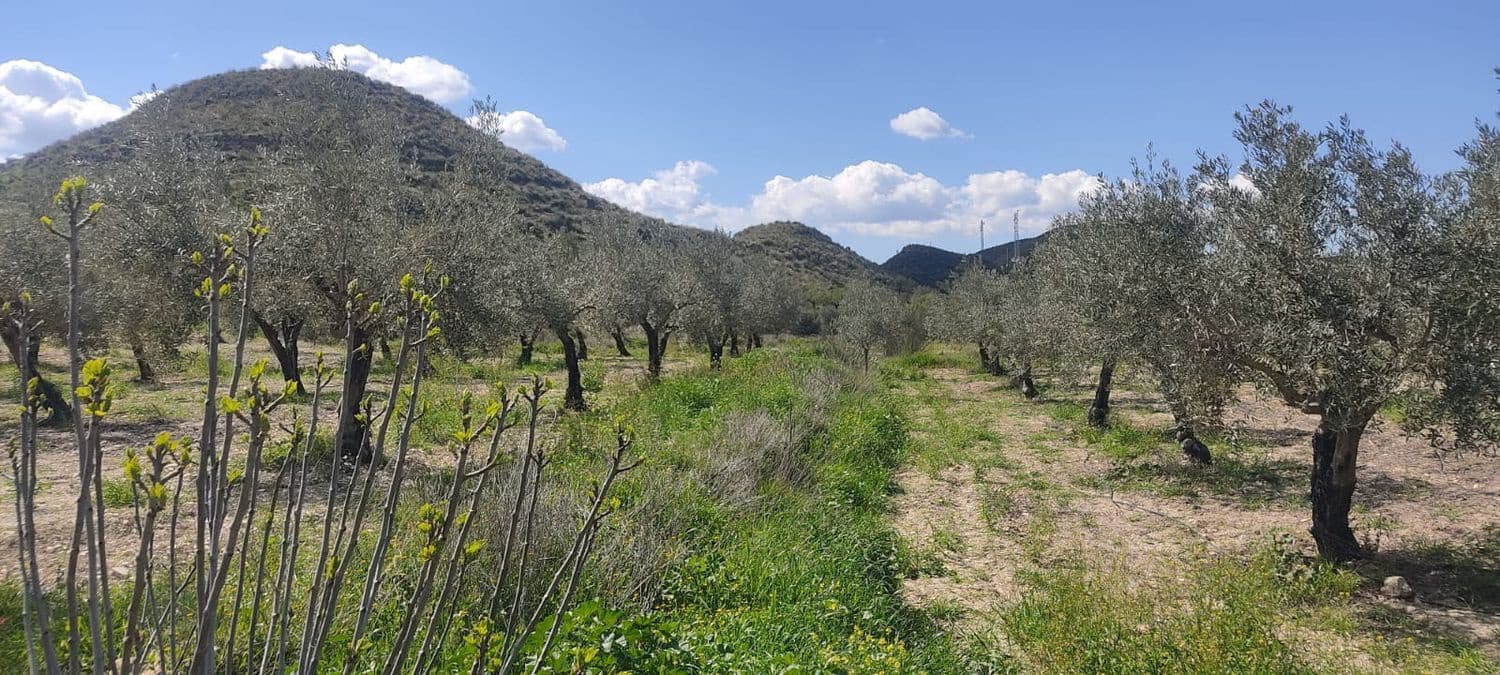 Grunde uden byggetilladelser til salg i Sorbas - € 29.900 (Ref: 8907120)