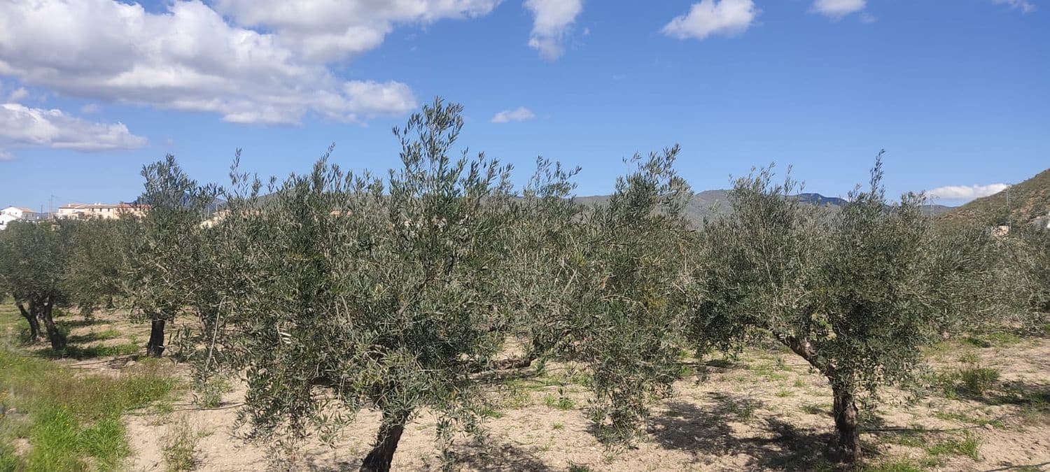 Grunde uden byggetilladelser til salg i Sorbas - € 29.900 (Ref: 8907120)