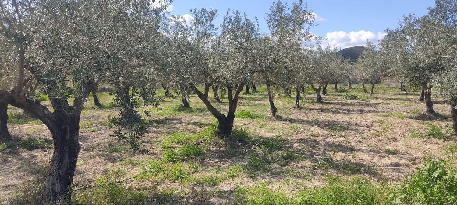 Grunde uden byggetilladelser til salg i Sorbas - € 29.900 (Ref: 8907120)