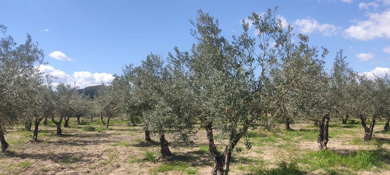 Grunde uden byggetilladelser til salg i Sorbas - € 29.900 (Ref: 8907120)