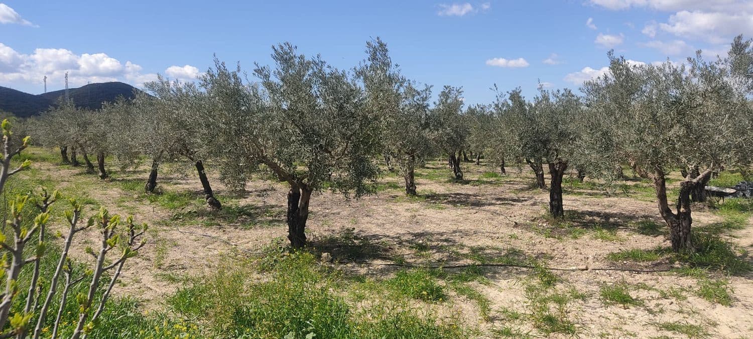 Grunde uden byggetilladelser til salg i Sorbas - € 29.900 (Ref: 8907120)