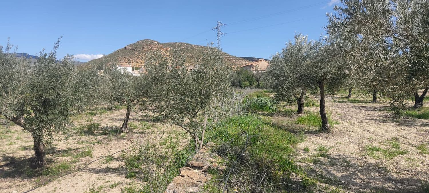 Grunde uden byggetilladelser til salg i Sorbas - € 29.900 (Ref: 8907120)