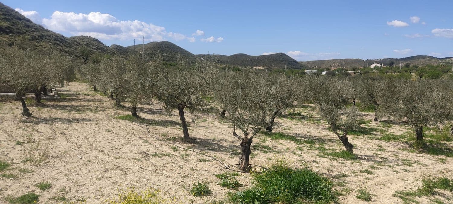 Grunde uden byggetilladelser til salg i Sorbas - € 29.900 (Ref: 8907120)