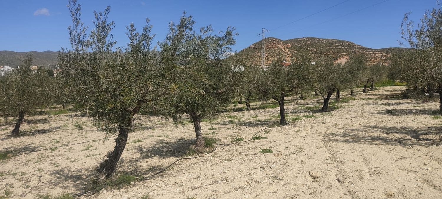 Grunde uden byggetilladelser til salg i Sorbas - € 29.900 (Ref: 8907120)