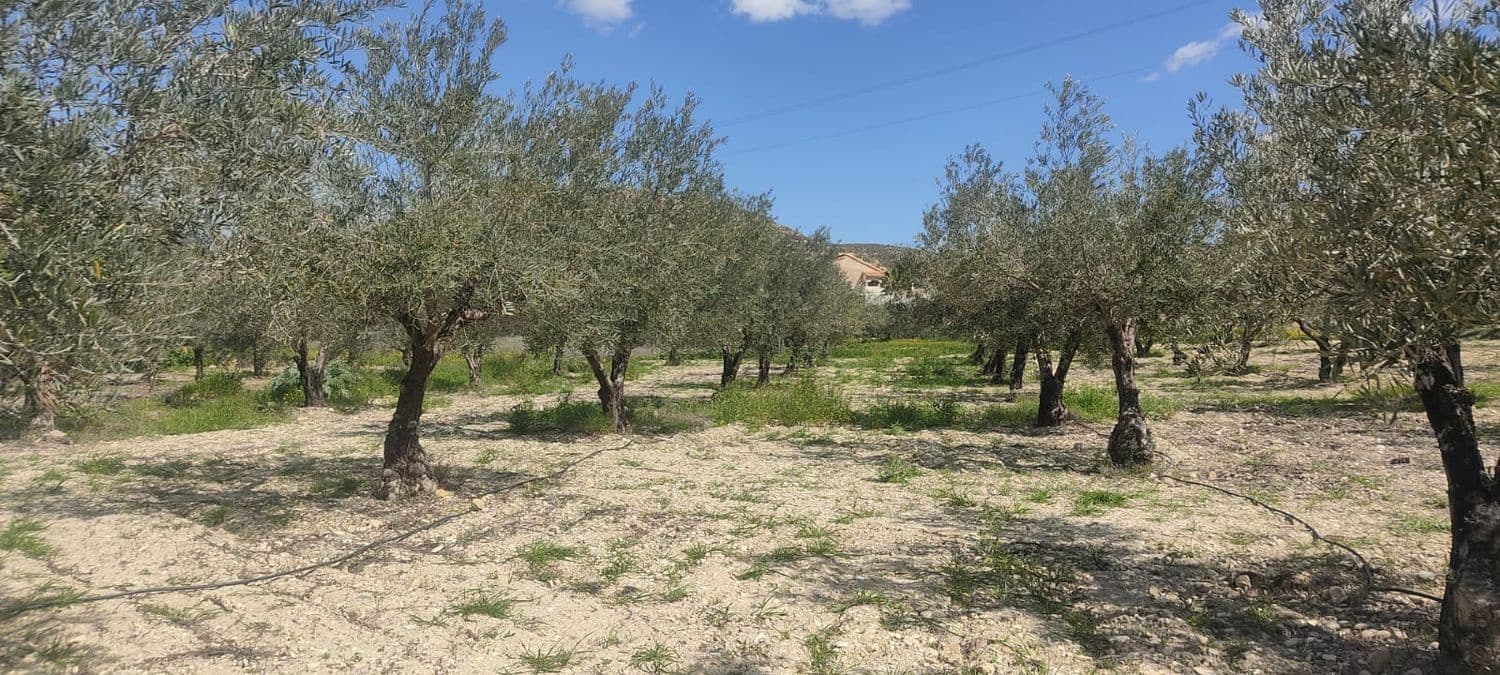 Grunde uden byggetilladelser til salg i Sorbas - € 29.900 (Ref: 8907120)