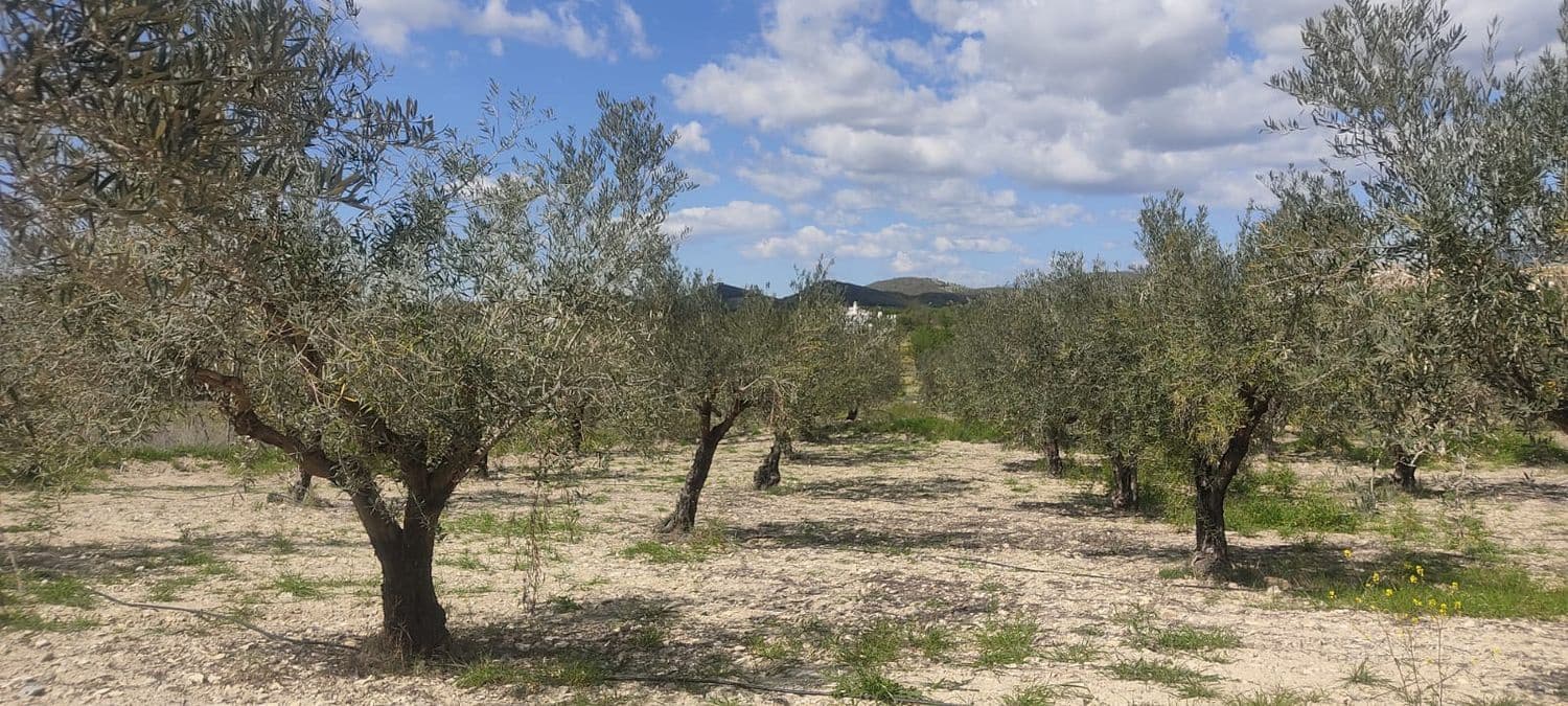 Grunde uden byggetilladelser til salg i Sorbas - € 29.900 (Ref: 8907120)