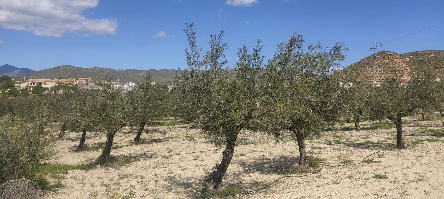 Grunde uden byggetilladelser til salg i Sorbas - € 29.900 (Ref: 8907120)