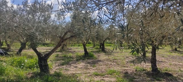 Undeveloped Land for sale in Sorbas - € 29,900 (Ref: 8907120)