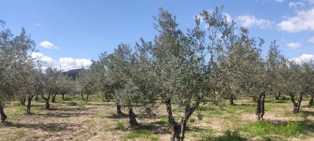Undeveloped Land for sale in Sorbas - € 29,900 (Ref: 8907120)