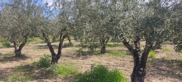 Undeveloped Land for sale in Sorbas - € 29,900 (Ref: 8907120)