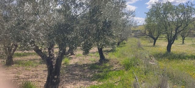 Undeveloped Land for sale in Sorbas - € 29,900 (Ref: 8907120)