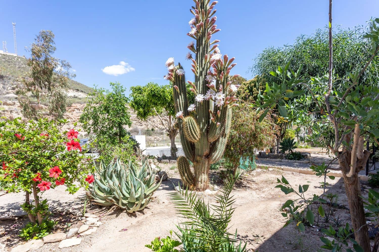 2 sovrum Lägenhet till salu i Vera med pool garage - 170 000 € (Ref: 9465127)