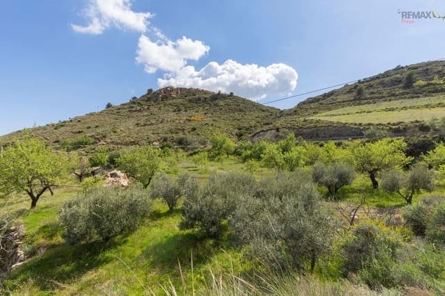 Ubebygd land til salgs i Bédar - € 36 000 (Ref: 9697952)