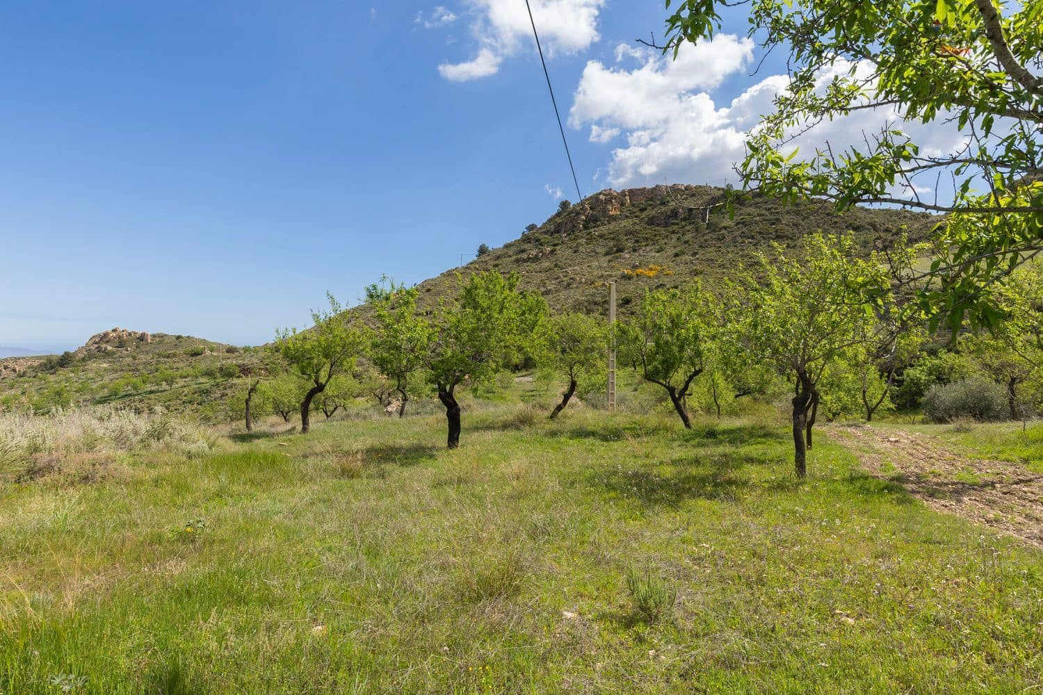 Undeveloped Land for sale in Bedar - € 36,000 (Ref: 9697952)