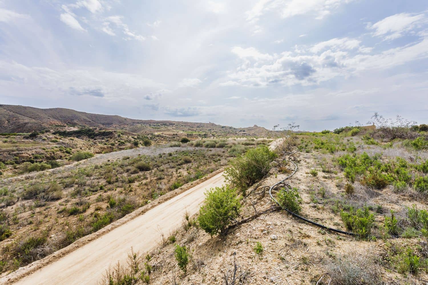 Terre non Aménagée à vendre à Antas - 130 000 € (Ref: 9755063)