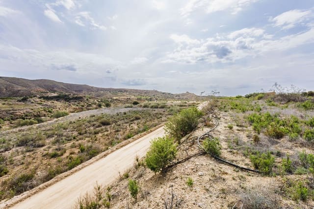 Terre non Aménagée à vendre à Antas - 130 000 € (Ref: 9755063)