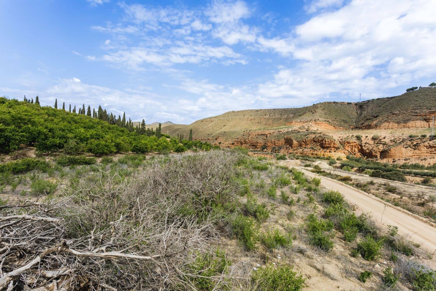 Terre non Aménagée à vendre à Antas - 130 000 € (Ref: 9755063)