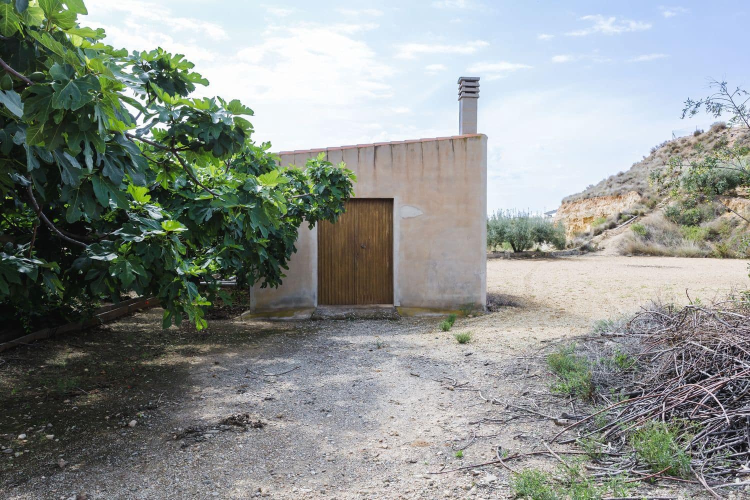 Terre non Aménagée à vendre à Antas - 130 000 € (Ref: 9755063)