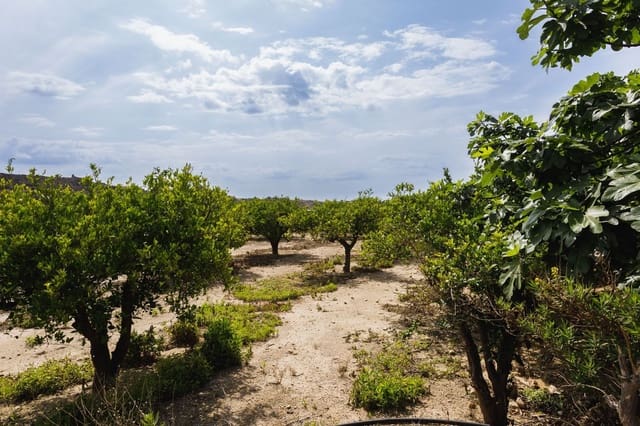 Terre non Aménagée à vendre à Antas - 130 000 € (Ref: 9755063)