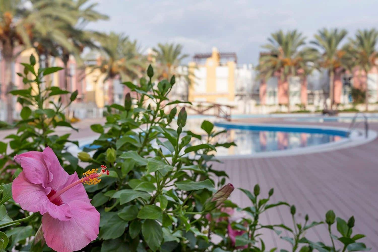 Apartamento de 2 habitaciones en Vera en venta con piscina garaje - 164.900 € (Ref: 9996534)