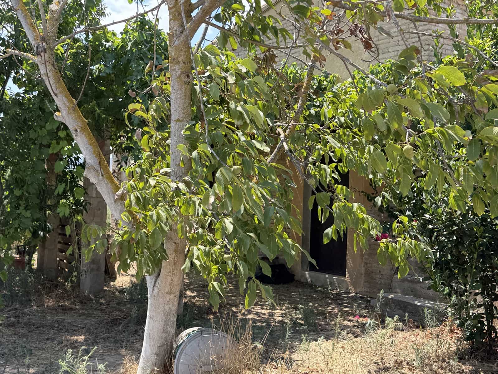 1 camera da letto Finca/Casa di Campagna in vendita in Ginestar - 68.000 € (Rif: 10004858)