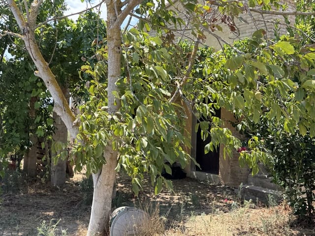1 camera da letto Finca/Casa di Campagna in vendita in Ginestar - 68.000 € (Rif: 10004858)
