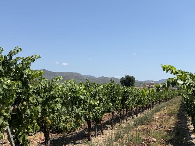 1 camera da letto Finca/Casa di Campagna in vendita in Ginestar - 68.000 € (Rif: 10004858)