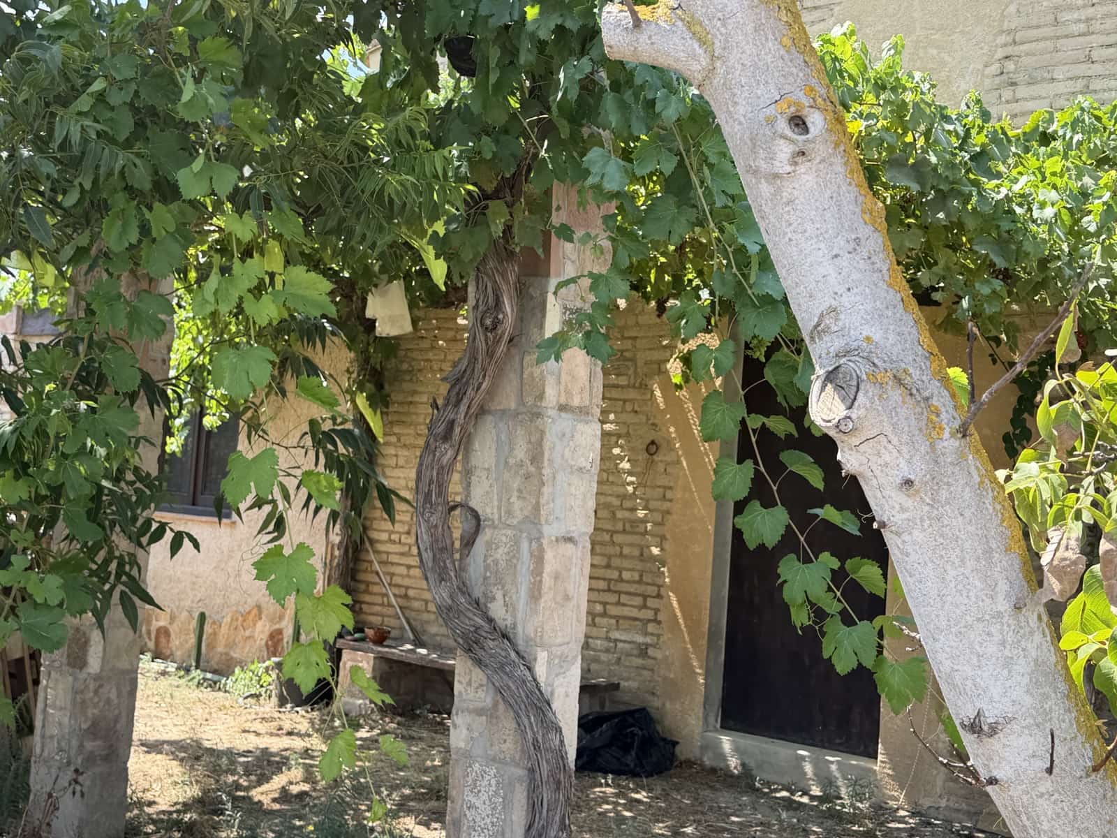 1 camera da letto Finca/Casa di Campagna in vendita in Ginestar - 68.000 € (Rif: 10004858)